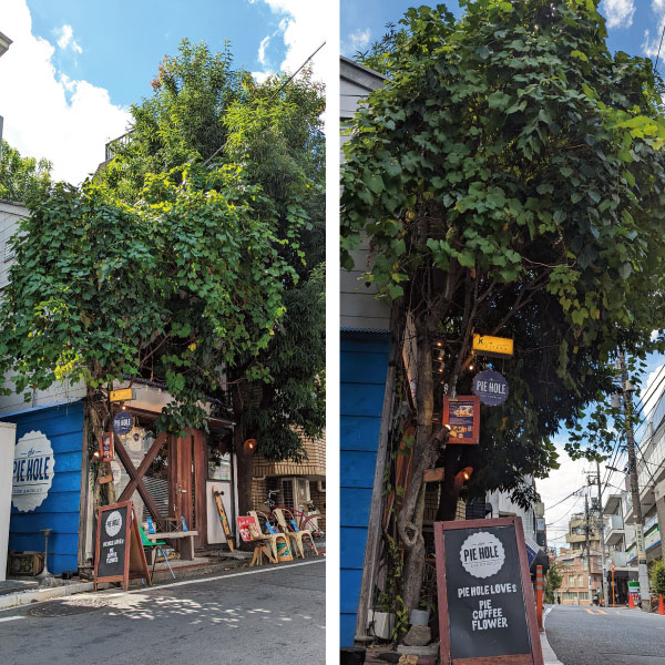 アメリカ・ロサンゼルス本店と同じ秘伝のパイレシピで焼き上げた美味しいアップルパイ、チェリーパイ、シェパーズパイ、スモアサンドパイ（S‘more sand pie）などがとても人気のアップルパイ屋さんです。ホームパーティーやクリスマスパーティーや誕生日パーティー用のスイーツ系パイやお食事系パイを販売しているパイショップ。